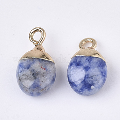 Electroplate Natural Blue Spot Jasper Charms&nbsp;G-S344-09I