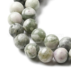 Natural Peace Jade Beads Strands&nbsp;X-G-E598-04B