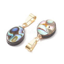 Abalone Shell/Paua Shell Pendants&nbsp;PALLOY-JF05265