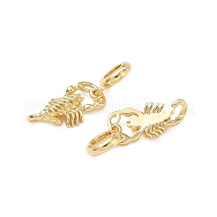 Brass Scorpion European Dangle Charms&nbsp;KK-L256-05G