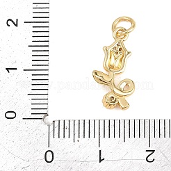 Valentine's Day Brass Micro Pave Clear Cubic Zirconia Pendants&nbsp;KK-D258-07G-02