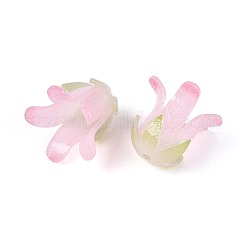 Heat Shrink Acrylic Bead Caps&nbsp;OACR-N155-04B