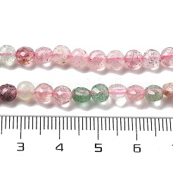 Natural Red & Green Strawberry Quartz Beads Strands&nbsp;G-C179-A28-01