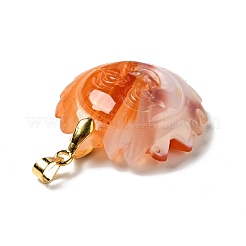 Natural Red Agate Pendants&nbsp;G-E043-01A-05G
