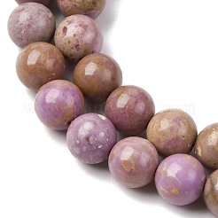Natural Lepidolite/Purple Mica Stone Beads Strands&nbsp;G-K401-A01-6mm