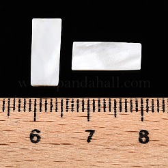 Natural White Shell Cabochons&nbsp;SSHEL-T017-07