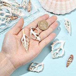 18Pcs 6 Styles Natural Shell Big Pendants&nbsp;BSHE-YW0001-20