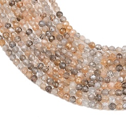 Natural Black Moonstone Beads Strands&nbsp;G-B175-D03-2mm