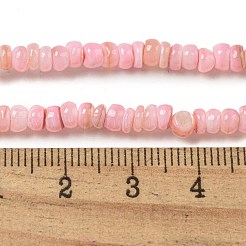 Dyed Natural Freshwater Shell Beads Strands&nbsp;BSHE-G039-07D