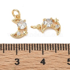 SHEGRACE Brass Micro Pave Cubic Zirconia Pendants&nbsp;XGRQ3D074-508G