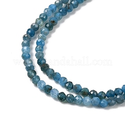 Natural Apatite Beads Strands&nbsp;G-K366-C07-2mm