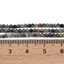 Natural Kyanite/Cyanite/Disthene Beads Strands&nbsp;G-D347-A02-2mm