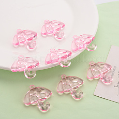 Transparent Acrylic Pendants&nbsp;TACR-T024-01B-903