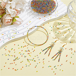 60G Glass Seed Beads&nbsp;SEED-SC0001-64B