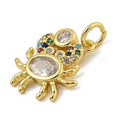 Marine Theme Rack Plating Brass Micro Pave Cubic Zirconia Pendants&nbsp;KK-I718-28G-01
