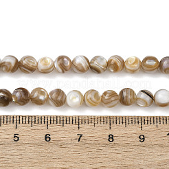 Natural Freshwater Shell Beads Strands&nbsp;SHEL-K006-71A