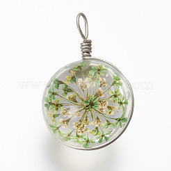 ガラスチャーム  乾燥した花と真鍮のパーツ  プラチナ  ラウンド  薄緑  30.5x19.5x17.5mm  穴：3x5mm&nbsp;GLAA-P030-01