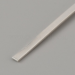 スターリングシルバーのフラットワイヤー 925 本  ベゼルストリップ  銀  100x2x1mm&nbsp;STER-TAC0003-01B