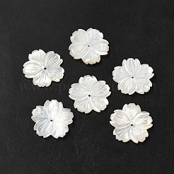 ナチュラルホワイトシェルビーズ  花  ホワイトスモーク  19x19x2mm  穴：0.5mm&nbsp;SHEL-M021-08A
