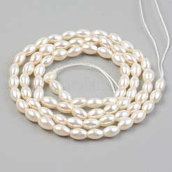 Electroplate Natural Freshwater Shell Beads Strands&nbsp;SHEL-T017-13A-01