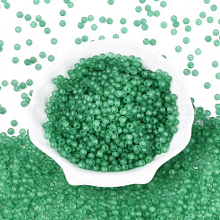 FGB Frosted Transparent Glass Seed Beads&nbsp;SEED-N013-02A-09