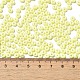 Baking Paint Glass Seed Beads&nbsp;SEED-B001-02A-13-4