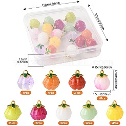 24Pcs 9 Colors Glass Charms&nbsp;GLAA-FS0002-42