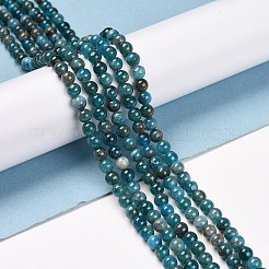 Natural Apatite Beads Strands&nbsp;X-G-D856-01-4mm