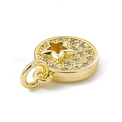 Brass Micro Pave Cubic Zirconia Charms&nbsp;ZIRC-F132-91G