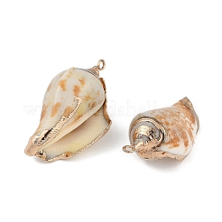 天然石シェルペンダント  貝殻の形のチャーム  34.5~44x18~23x15~18mm  穴：1.5mm&nbsp;SHEL-K009-01D