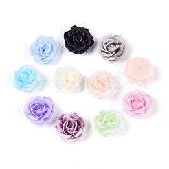 Opaque Resin Beads&nbsp;RESI-N052-01
