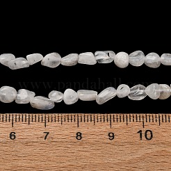Natural Rainbow Moonstone Beads Strands&nbsp;G-I389-A36