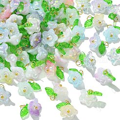 Acrylic Flower Charms&nbsp;PALLOY-CJ00025