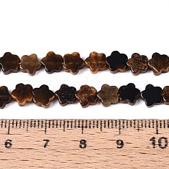 天然石タイガーアイビーズ連売り  スター  5.5~6x6~6.5x2~3mm  穴：0.7~0.8mm  約63~65個/連  14.76~15.16インチ（37.5~38.5cm）&nbsp;G-N257-24A-03