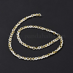 Handmade Lampwork Beads&nbsp;LAMP-P056-01P
