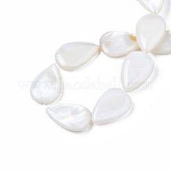 Natural Sea Shell Beads Strands&nbsp;SSHEL-Q296-43