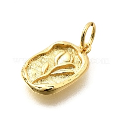 Brass Charms&nbsp;KK-S508-04A-G