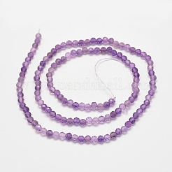 Natural Amethyst Bead Strands&nbsp;G-P279-43-3mm