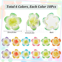 60 個 6 色不透明樹脂デコデンカボション  フランジパニの花  ミックスカラー  25x25x6.5mm  10個/カラー&nbsp;RESI-SC0005-83A