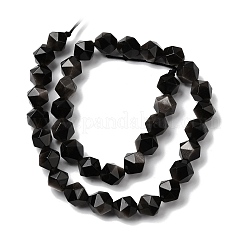 Natural Silver Obsidian Beads Strands&nbsp;G-Z119-A11-03