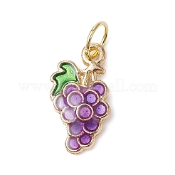 Alloy Enamel Pendants&nbsp;PALLOY-JF02459