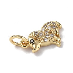 Brass Micro Pave Cubic Zirconia Charms&nbsp;ZIRC-F131-04G