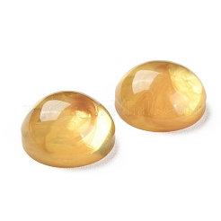 Translucent Resin Cabochons&nbsp;RESI-XCP0002-04