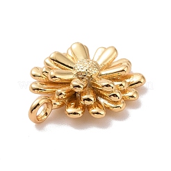 Rack Plating Brass Charms&nbsp;KK-C245-04G