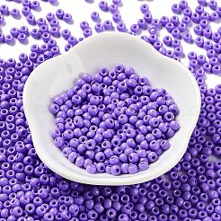 Baking Paint Glass Seed Beads&nbsp;SEED-H002-I-A505