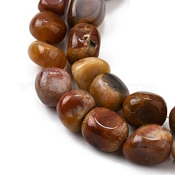 Natural Petrified Wood Beads Strands&nbsp;G-L621-C11-01