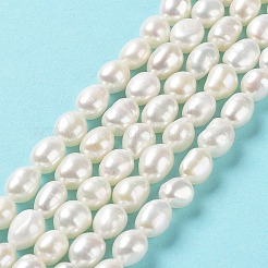 天然養殖淡水パールビーズ連売り  両面研磨  グレード5 A  貝殻色  8~9x7~8x6~7mm  穴：0.6mm  約39~40個/連  13.39''（34~35センチメートル）&nbsp;PEAR-Z002-21