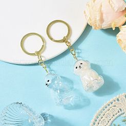 鉄製プラスチックキーホルダー  犬  ペットの毛のメモリアルカプセル  ゴールドカラー  105mm  ペンダント：49x30x27mm&nbsp;KEYC-FZC0001-001C-G