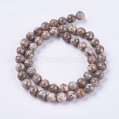 天然のマイファナイト/マイファンストーンビーズ連売り  ラウンド  8mm  穴：1mm  約46個/連  15インチ&nbsp;X-G-I187-8mm-01