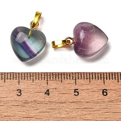 天然石蛍石ペンダント  真鍮のパーツと  ハート  ゴールドカラー  16x13x8mm  穴：3.5x6mm&nbsp;G-C155-02C-G